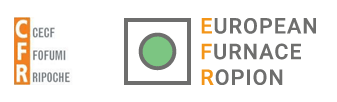 logo EFR